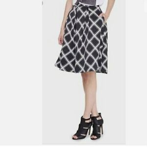 Express Skirt Flared